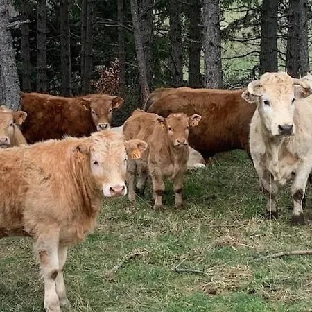 Le Du Brusquet 別荘 *